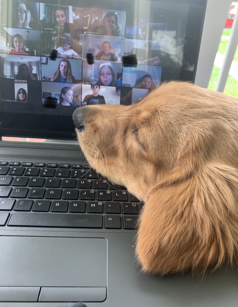 RangersMissC's tweet photo. Behind the scenes look at our book club discussion on Breathing Room by local author Marsha Hayles! We are looking forward to chatting with her soon 😊📚 I highly recommend this book for any fan of hist. fiction, so many parallels between the TB outbreak and our current pandemic! https://t.co/6hNIkbz1J1
