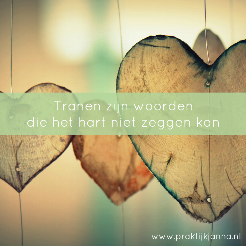 Irene Otto tweet media