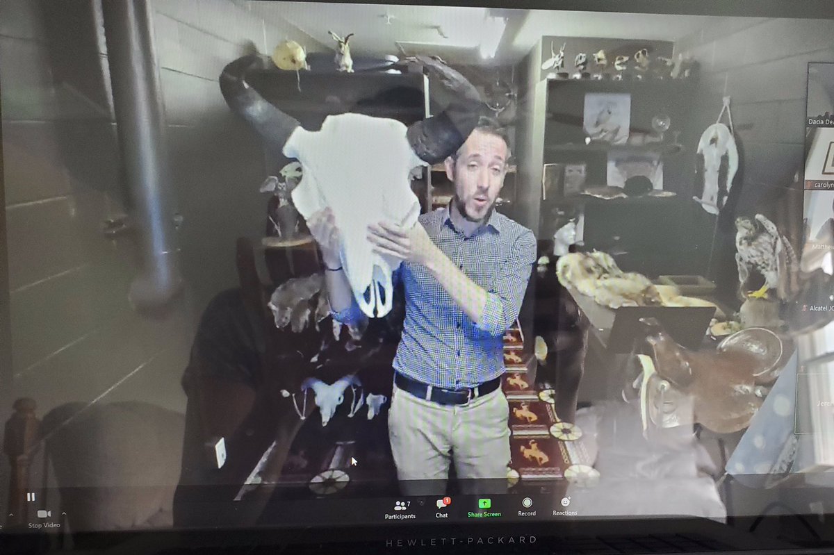 Dacia DeAngelis tweet media