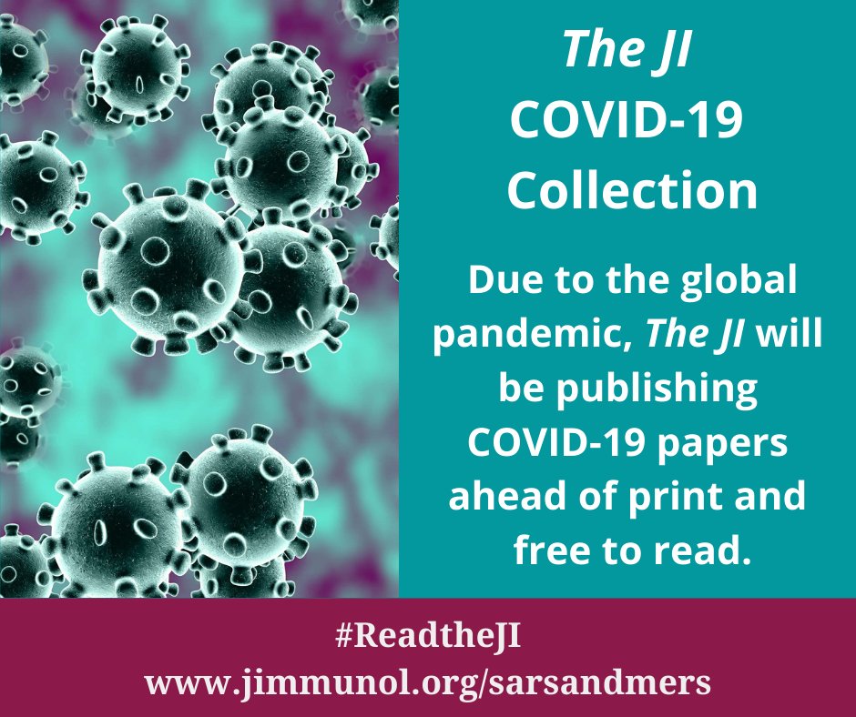 Newest #BriefReview: #Inflammasomes and #pyroptosis as therapeutic targets for #COVID-19 by Jeremy K. Y. Yap, @MiyuMoriyama, and @VirusesImmunity. bit.ly/3eStcUF  #ReadtheJI #immunology #SARS #Coronavirus #COVID #FREEtoRead