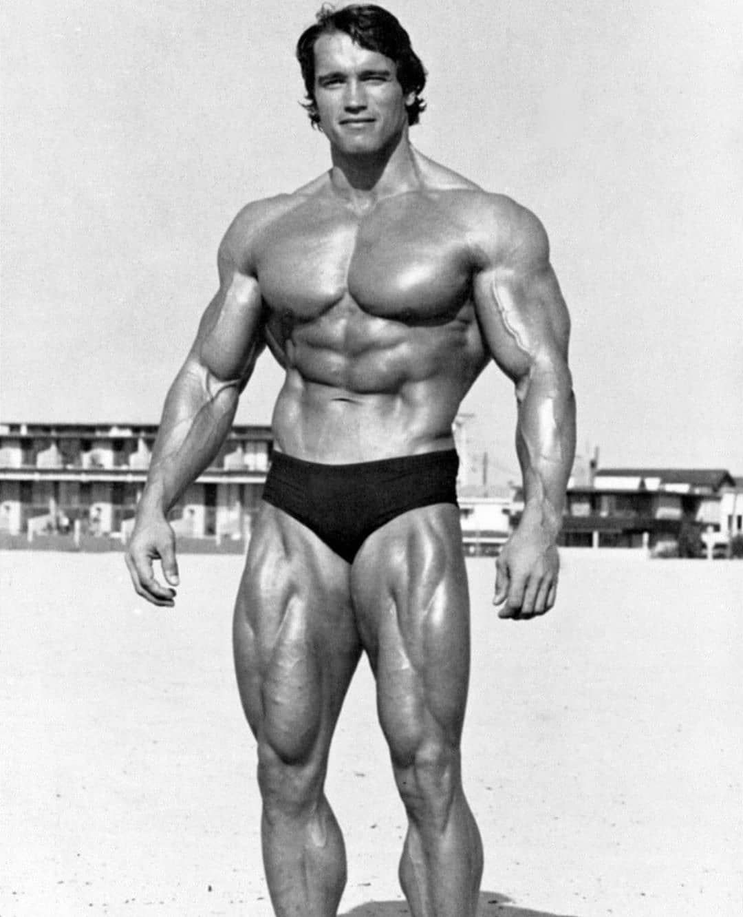 Арнольд Шварценеггер в МО