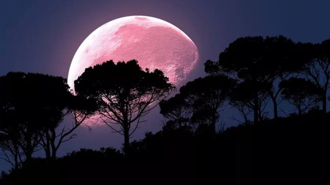 codigoocultocom's tweet photo. Este viernes disfruta una «#Luna llena de fresa» y un #Eclipse lunar penumbral https://t.co/2GUfzmhu8C #Astrofotografia #Astronomia #Cosmos #Eclipse5DeJunio #EclipseLunar #EclipseLunarPenumbral #GianlucaMasi #LunaDeFresa #Moon #VirtualTelescopeProject https://t.co/aK1GsBPe9y