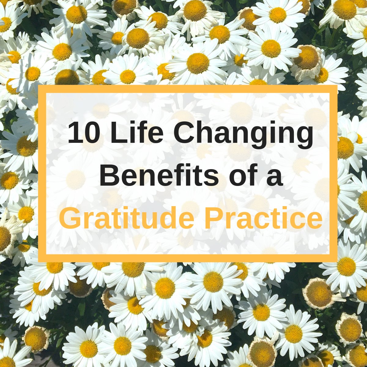 Feeling stressed, anxious, or unhappy? Here's how gratitude can change your mood buff.ly/2F8hFDv #gratitude #Mindset #wellness