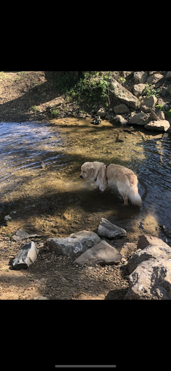 Hannah Noone tweet media