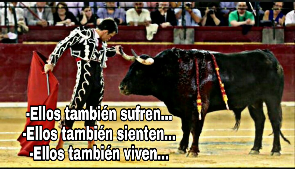 Algo positivo y bueno de esta pandemia, es que se ha detenido la masacre de estos seres vivos