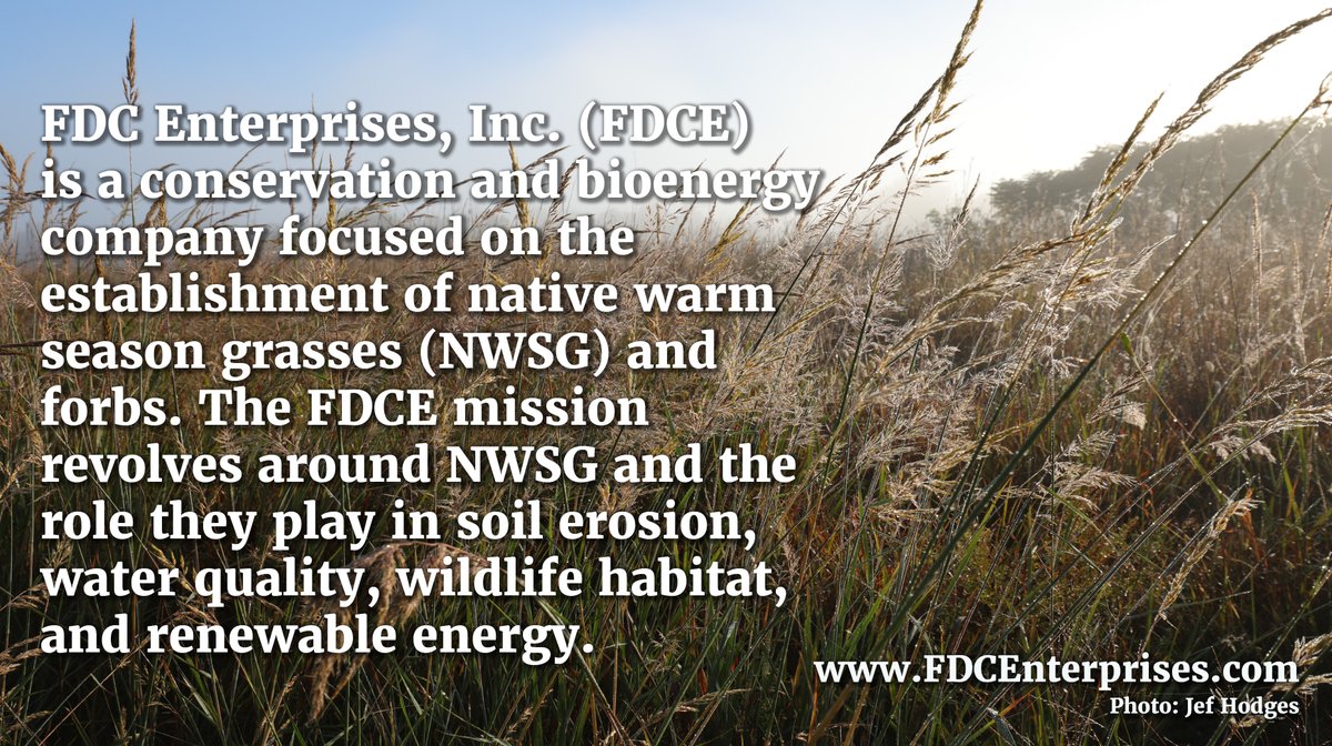 NativeGrassAlly's tweet photo. FDC Enterprises is a conservation &amp; bioenergy company focused on establishing native warm season grasses (NWSG) &amp; forbs. Their mission revolves the role NWSG play in soil erosion, water quality, wildlife habitat, and renewable energy. 
https://t.co/4sKQyO1YjA https://t.co/edL5Iy8Wyu