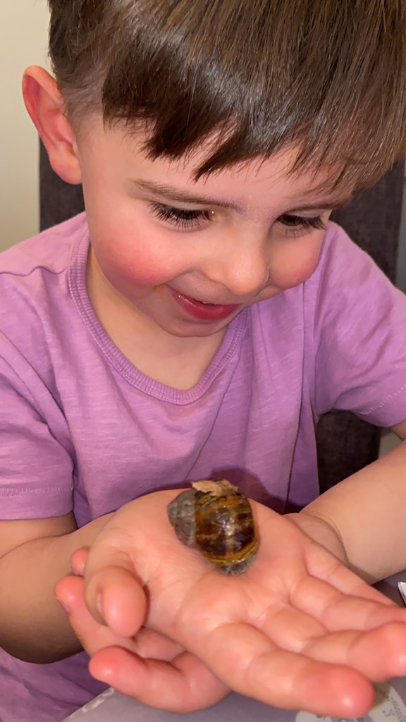 Robins_HMCS's tweet image. Our EYFS children have been snail hunting today #understandingtheworld #thesnailandthewhale #ourlocalarea #wearecurious