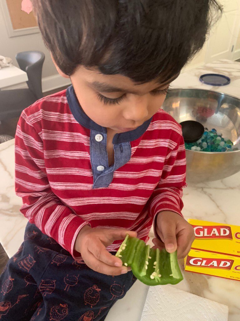 BISCLPNursery's tweet photo. Following on from reading ‘The Enormous Turnip’, the #FriendlyFoxes are exploring fruits and vegetables further through creative activities, planting seeds and tasting experiences @NAEducation @BISCLincolnPark #virtualschoolexperience https://t.co/IBjmVT3YTD