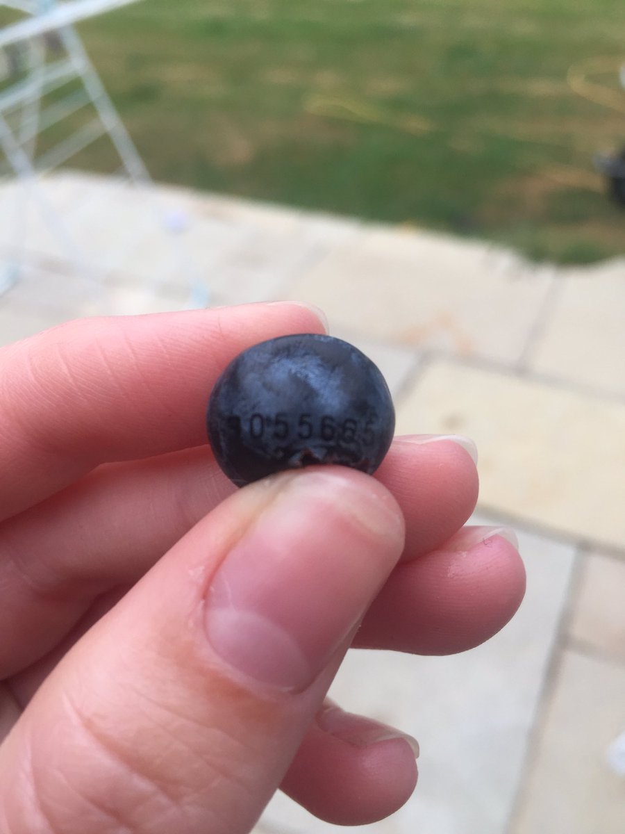 VickiLucass's tweet photo. When you find a number on your blueberry!!🤣🤣  #weird #tescos #blueberry https://t.co/7RTp6dMgMK