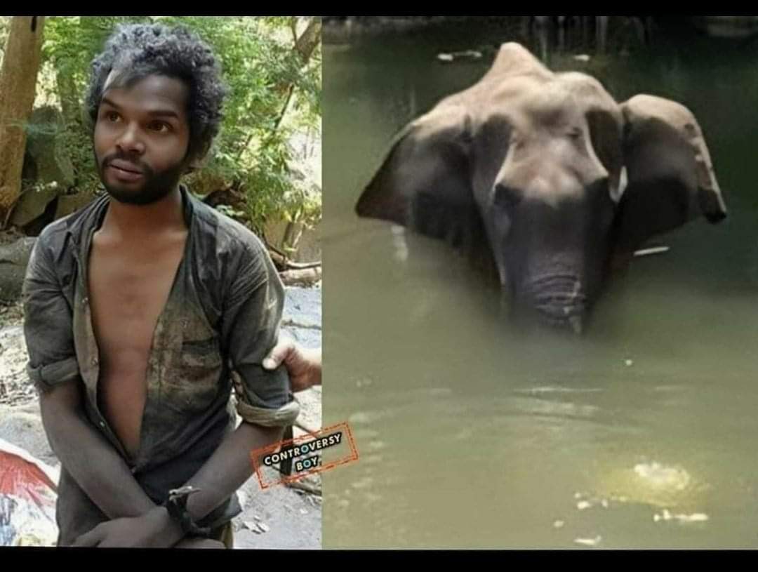 itssr's tweet image. Previous year they killed this man because he was hungry...this year they killed an innocent animal who can't even speak.. 
                     "Riphumanity