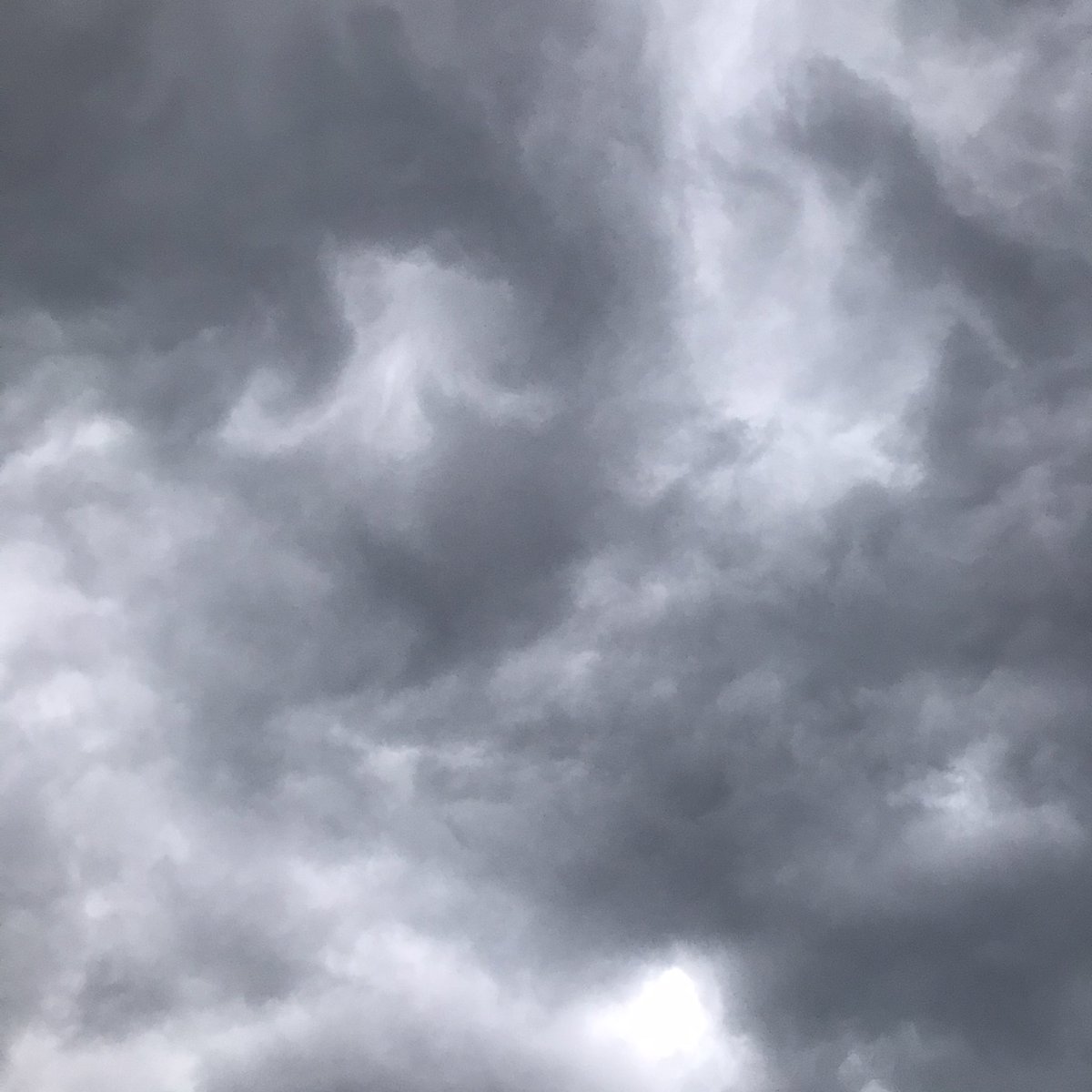 LudwigBoudoir's tweet photo. Il est beau, ce ciel d’avant l’orage... 

#CielDOrage #Magnifique #MêmePasPeurDesEclairs #OkJeRentre https://t.co/D9OZBaqtRR