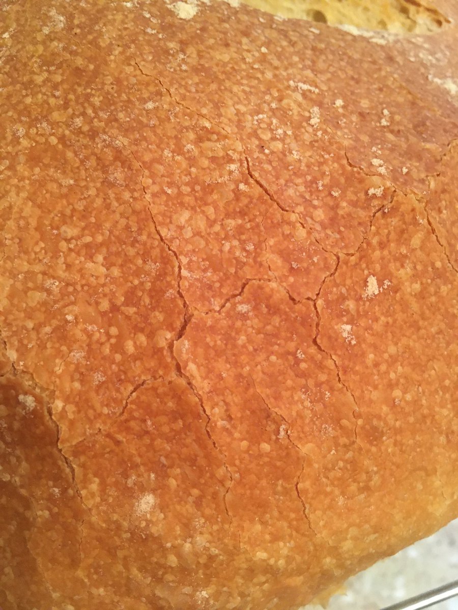 MrTSci409's tweet photo. Twitter #bakers!
Why has my glorious looking cob cracked itβs crust upon cooling please?
How do I avoid this menace in future?
#BakeEd #Cob #CrackedCrust
@ShakinthatChalk #BakingBuddy https://t.co/7YTm3pQwYf