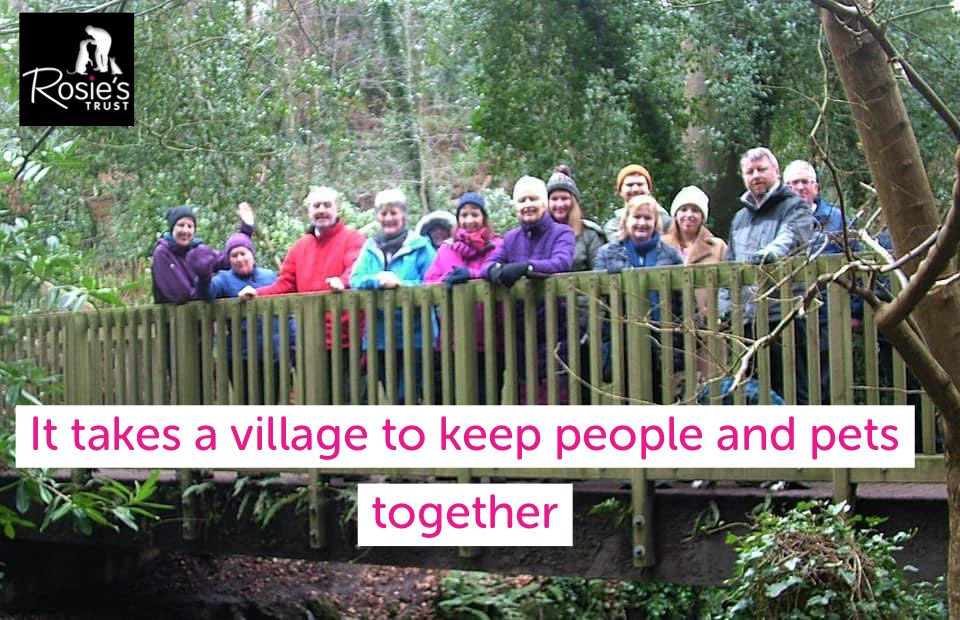 Canine &amp; feline support, Phone vols, Coordinators, Ambassadors, Fundraisers, Marketing, Admin, Social Media, Web Design, Foster, Trustees - the list of volunteer support we receive is varied &amp; wonderful and we would be lost without you all #volunteersweek
#TimeToSayThankYou