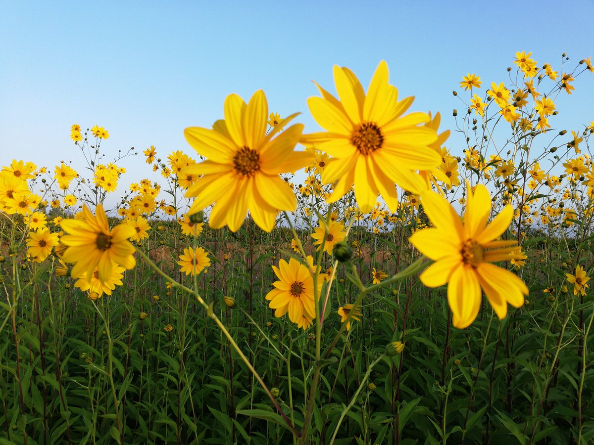 Hoy celebramos el #DiaNacionalDelDonante.. Gracias a todos aquellos que haceis que la vida siga...!!!! 👏👏👏👏💓💓