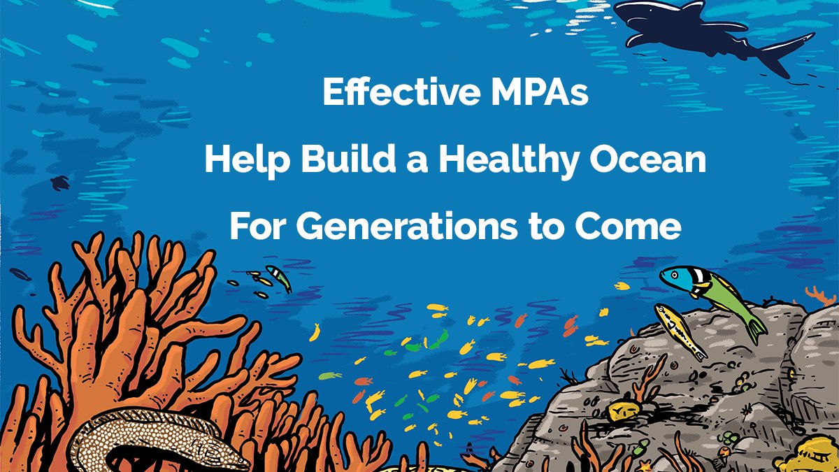 savingoceans's tweet image. Protecting at least 30% of the #ocean by 2030 through implemented, fully and highly protected #MPAs is necessary for ocean and planetary health. #MPAGuide bit.ly/2ZL0yjZ @savingoceans @JaneLubchenco @UNEP @Magda_Skipper @SykesBenj @wef @FriendsofOcean @marinesanctuary