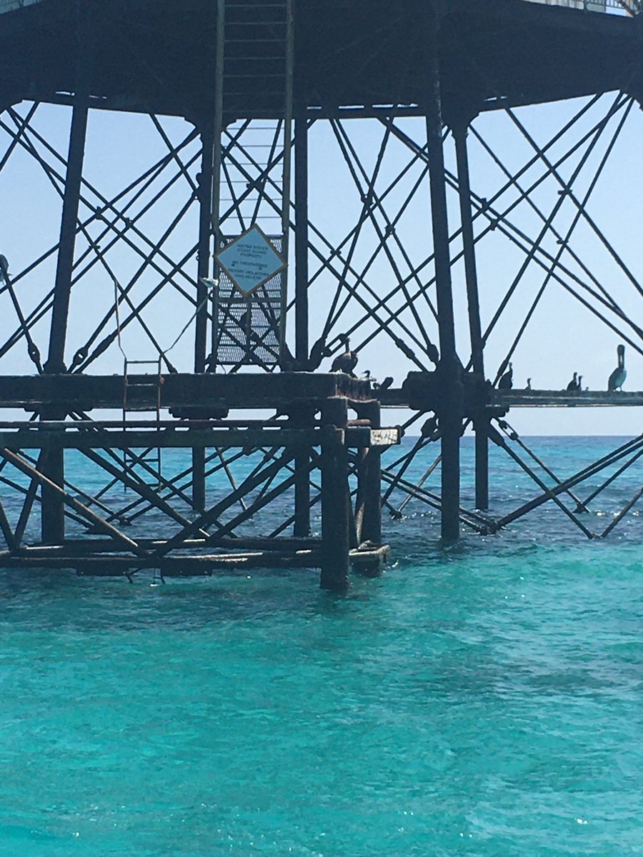 Florida Keys reopened on June1st to Tourists.  We have opened our calendar for Tours on June 2nd.  Please Join us at #wilddolphintours for Snorkeling, Sandbar &amp; Sunsets in #islamorada #willddolphinboat #amaracayresort