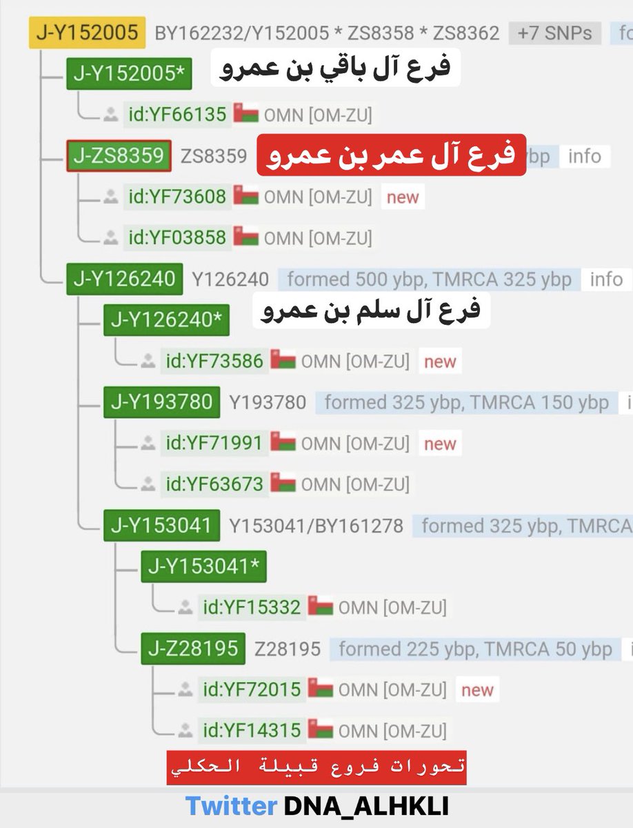 قبيلة الحكلي ( القرا ) DNA tweet media