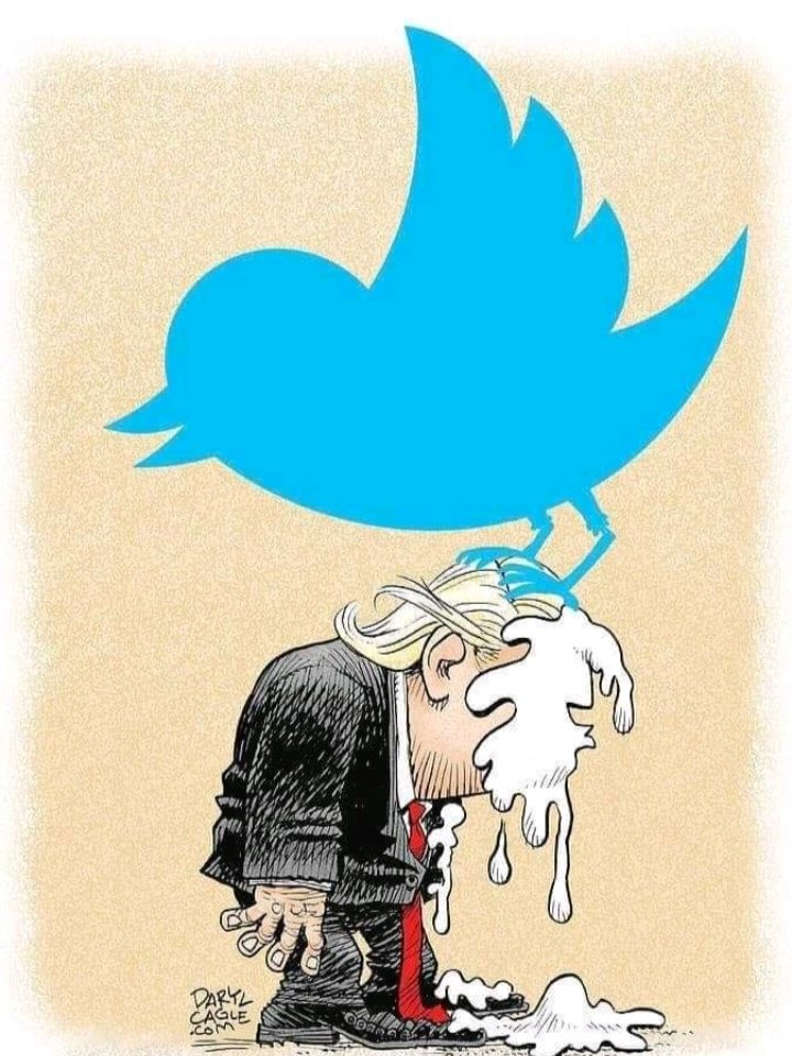 Thom Adcox Hernandez (@adcoxthom) on Twitter photo 