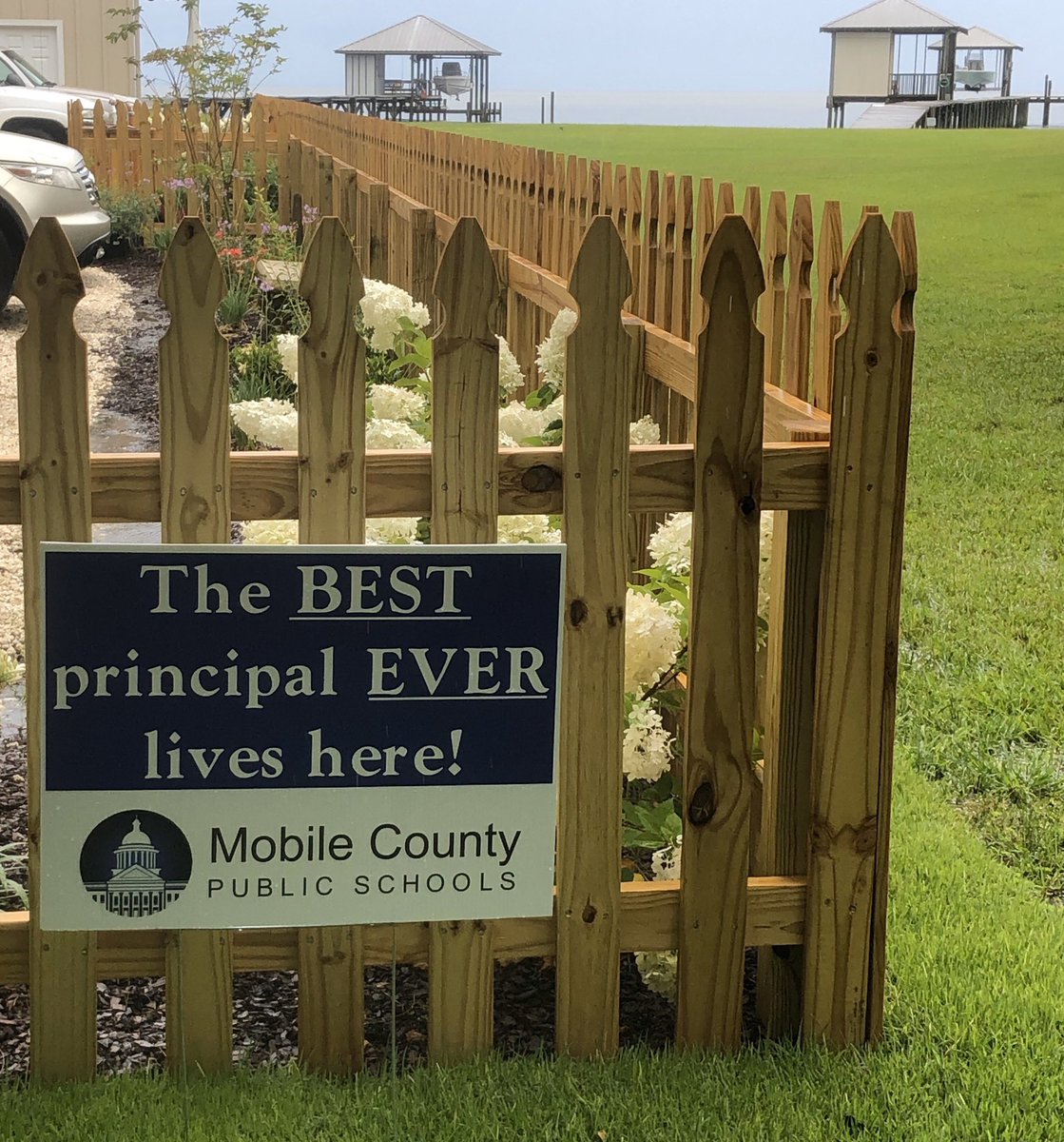 Melissa Mitchell tweet media