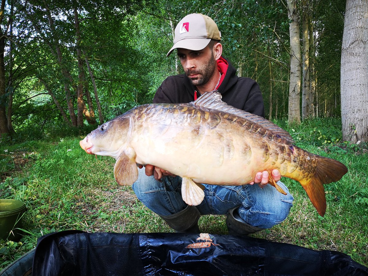 wilkawa2's tweet photo. Des jolies miroir sur cette rivière. Pretty mirror on this river. @HoboArmour @karperltd #madeinriver #carplife #carpfishing #carpe #carphotography #carpriver https://t.co/ggrhANZxdY