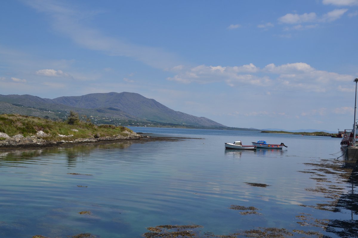 Marion @Bere Island tweet media