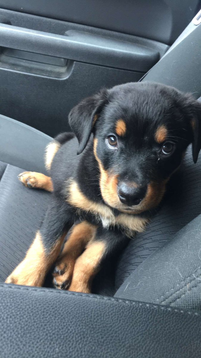 loaded_larson's tweet image. My guy!