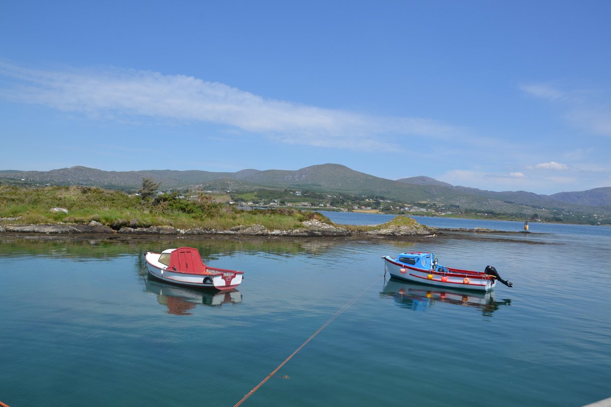 Marion @Bere Island tweet media