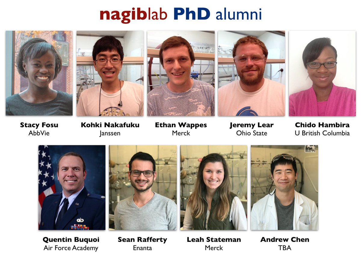 nagib lab tweet media