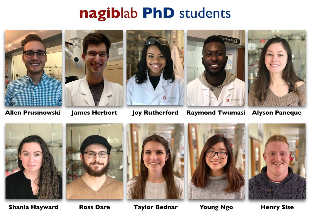 nagib lab tweet media