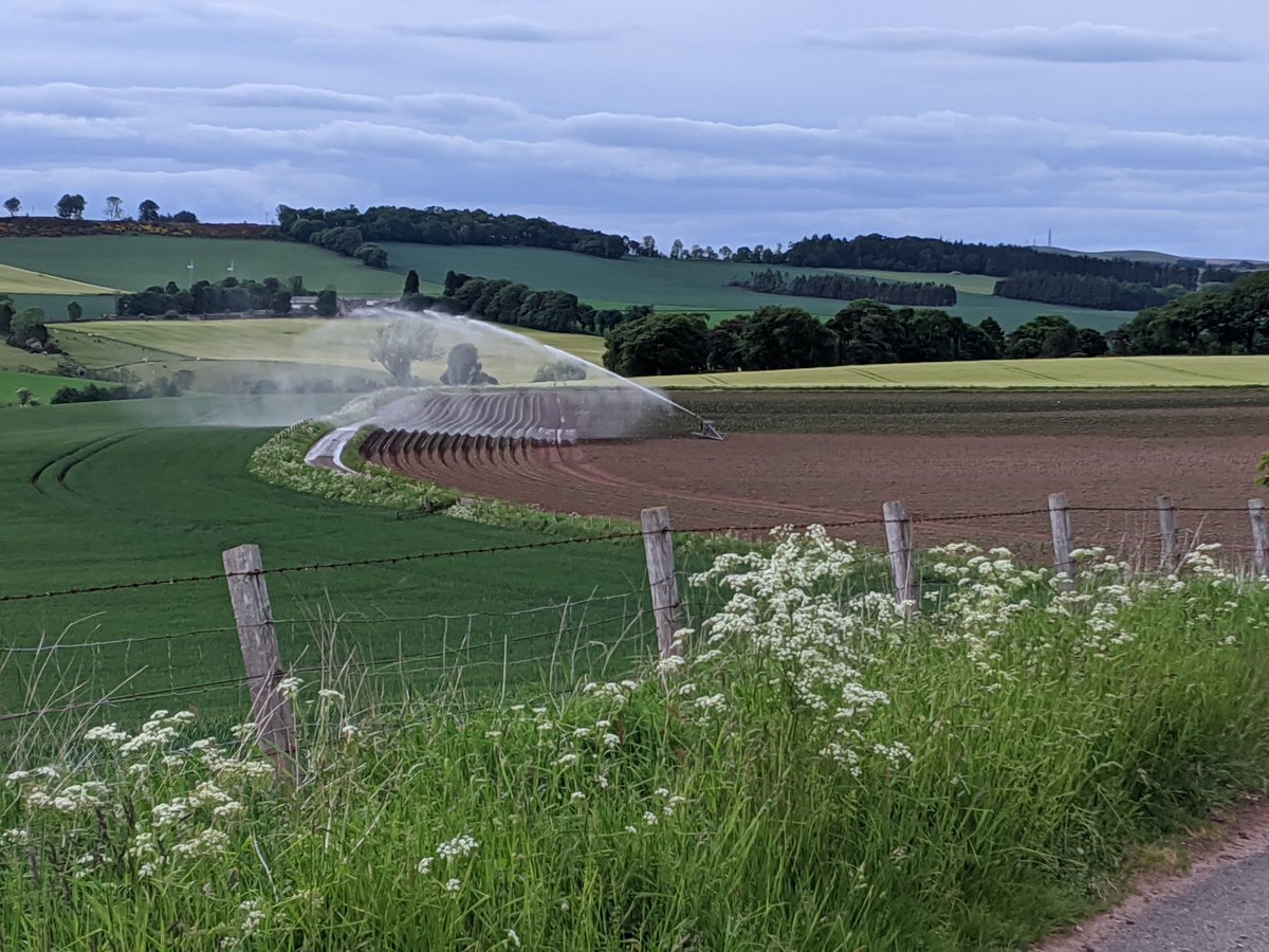 G_MAC86's tweet photo. Nice run tonight, my route took me through this sprinkler #refreashing #ukrunchat https://t.co/I80TnjQMKG