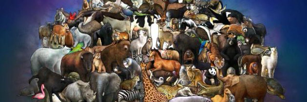 Где много звери. Множество животных. Много зверей. Многон разный животных. Много животных на одной картинке.
