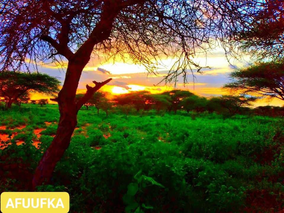 Welcome to the outskirt of Taleex city, Sool region.  #VisitSomalia  #Somalia