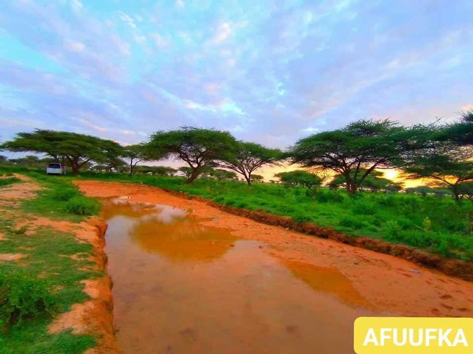 Welcome to the outskirt of Taleex city, Sool region.  #VisitSomalia  #Somalia