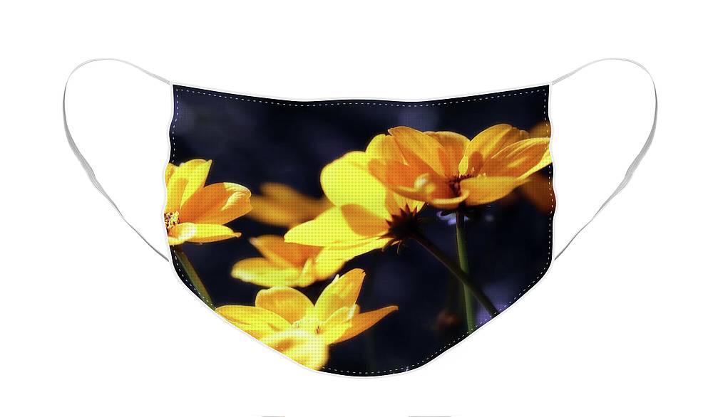 HurmerintaArt's tweet image. Goldilocks Rocks In The Evening Sunlight #largebag #beachbag #flowerart #facemask #giftidea #linkinbio 😊