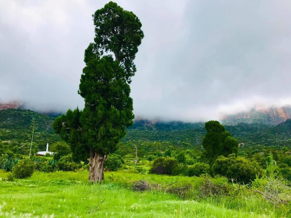 Welcome to Erigavo city ("Ceerigaabo"), a place known for its luscious greenery, in the Sanaag region of northern Somalia  #VisitSomalia  #Somalia