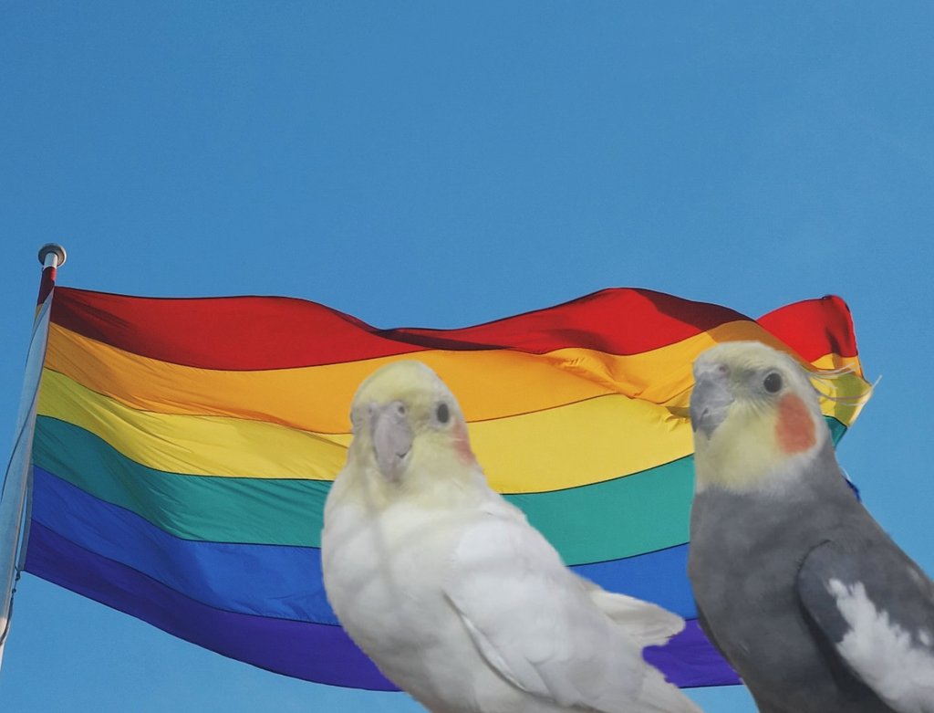 Hanımla bis de katılalım dedig😌
❤️🧡💛💚💙💜