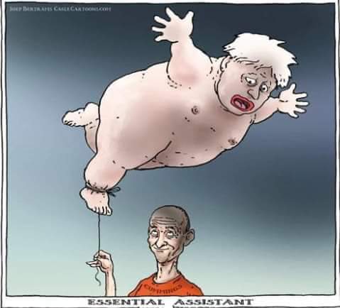 KATHIE BENNETT tweet media