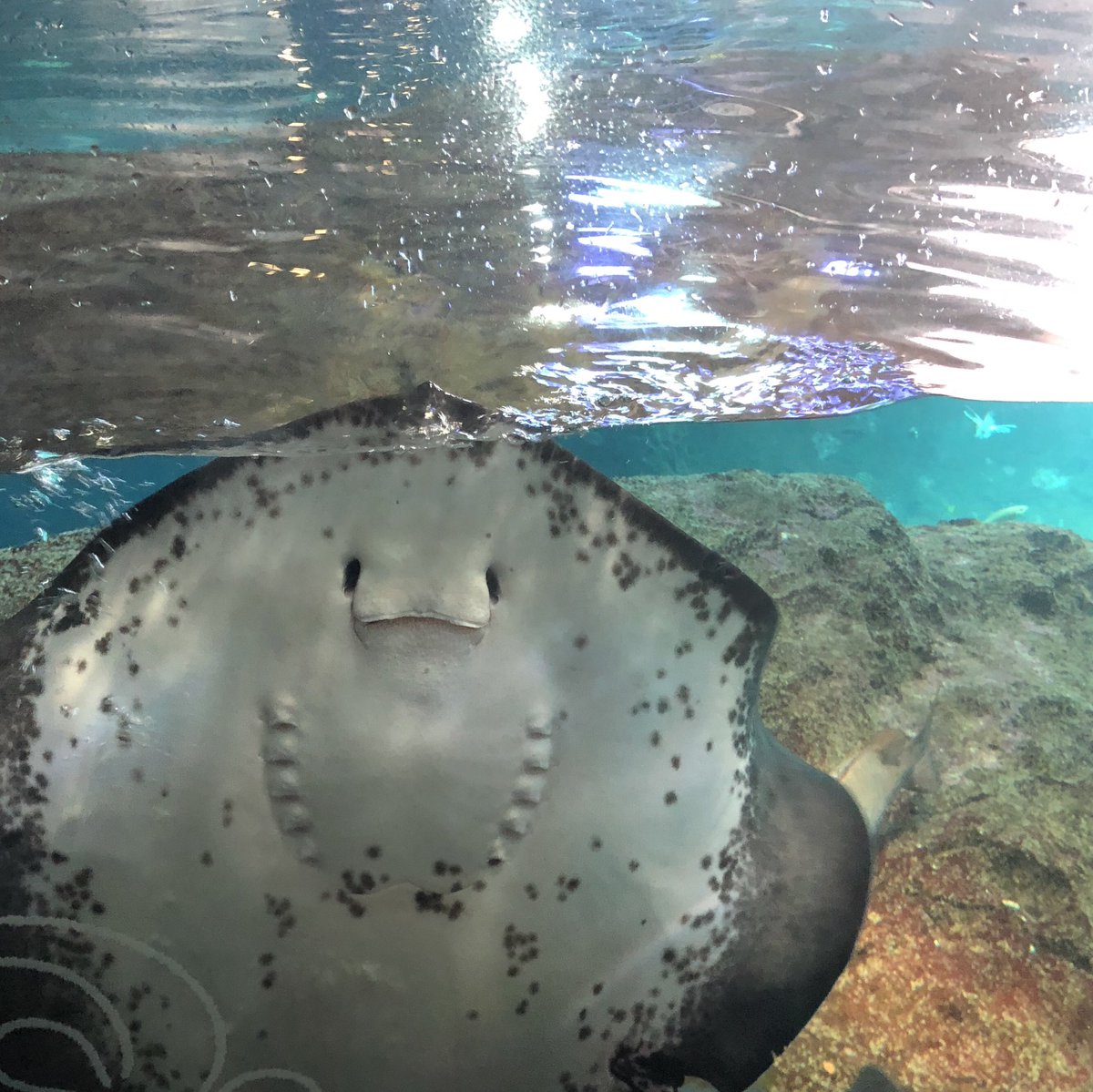 人の顔に見える