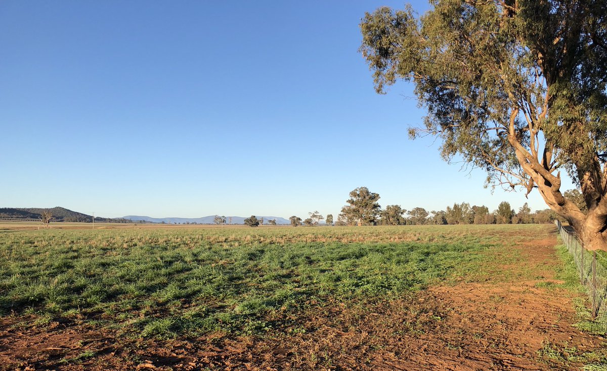 Tim Wright tweet media