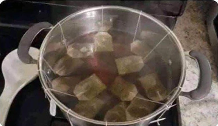 Mario Aguilar tweet media