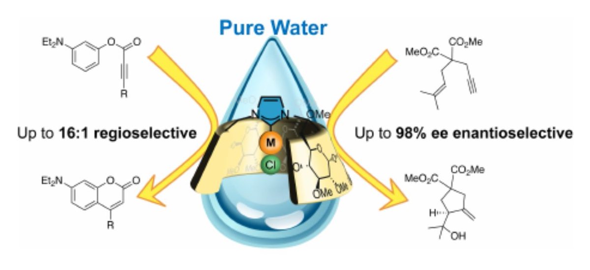 gold_chem's tweet photo. Permethylated NHC‐capped alpha‐ and beta‐cyclodextrins (ICyDMe). Regioselective and enantioselective gold‐catalysis in pure water @SollogoubM @MouriesV @ChemEurJ: https://t.co/t6sHLuRJjM https://t.co/UCWVVePpzc