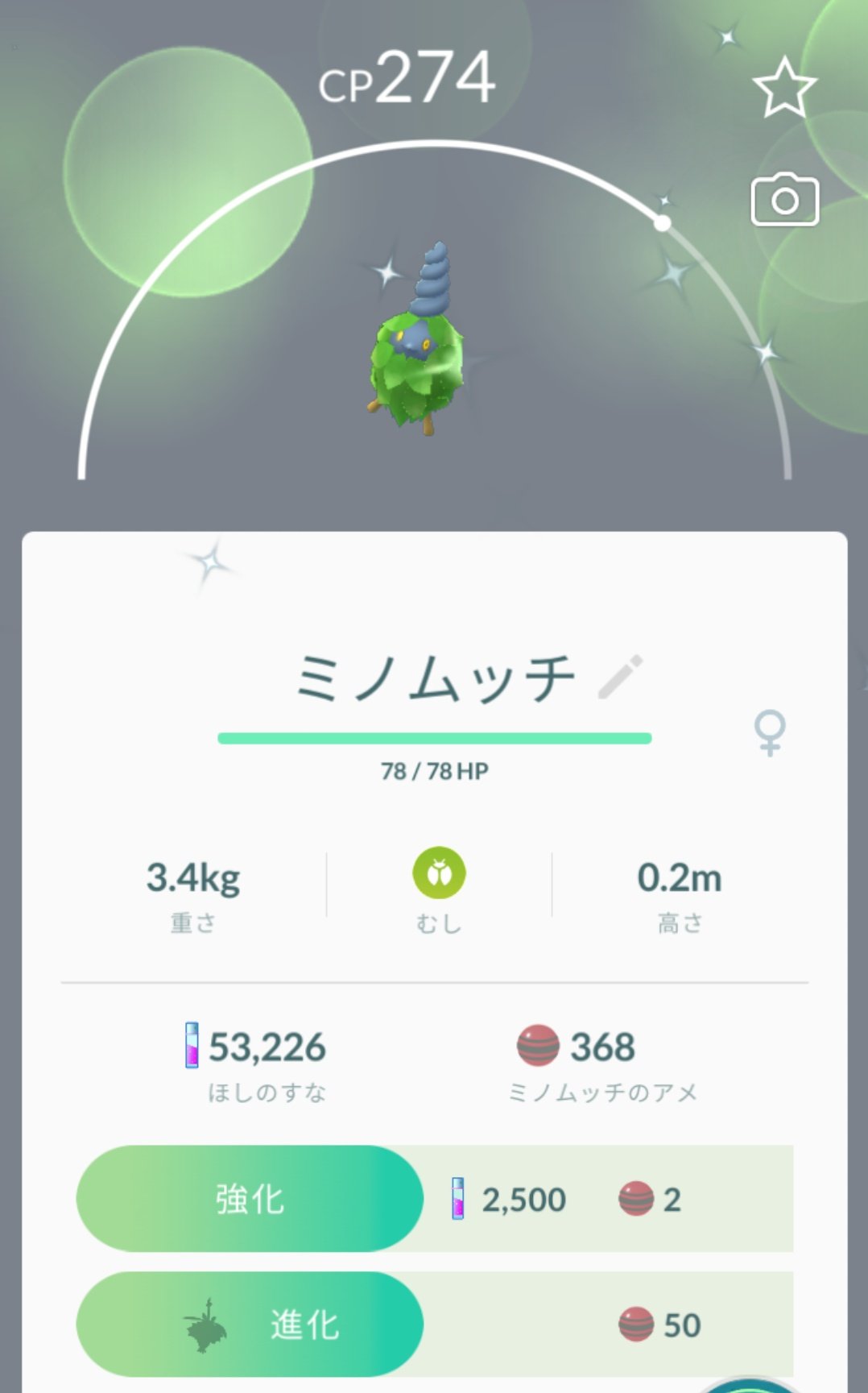 色違いミノムッチ Twitter Search Twitter