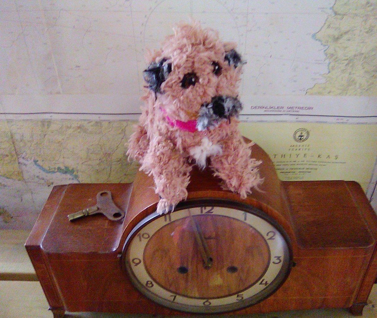borderbears's tweet image. BTPosse looking for furever home thirty pounds including postage