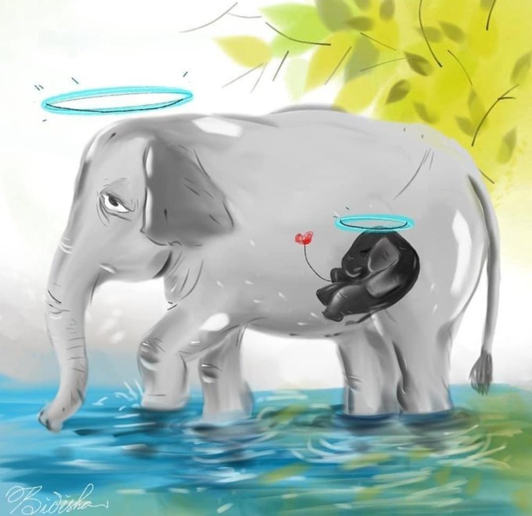 Appalled to hear about what happened in Kerala. Let's treat our animals with love and bring an end to these cowardly acts.
#keralaelephant 
#Elephant 
#ShameOnHumanity 
#shameonkerala