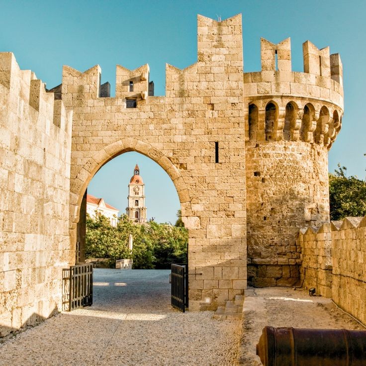 🐾Sofia💕 tweet media