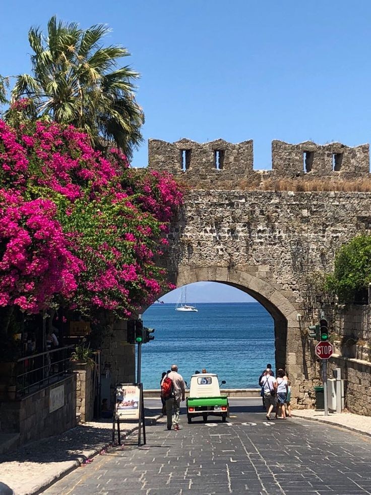 🐾Sofia💕 tweet media