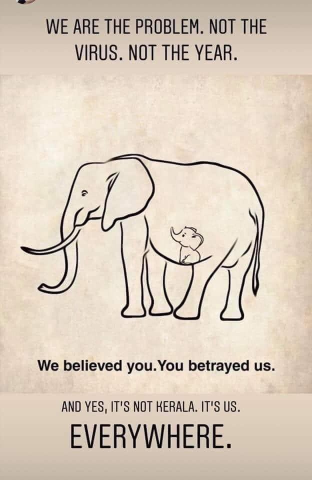 HamaraWarangal's tweet photo. It’s human race to be blamed not just #Kerala There are such cases everyday and everywhere... High time human race gets erased and they live happily henceforth on this planet ... 😥😒😒#howCruel
#keralaelephant https://t.co/bfPYNcsZsM