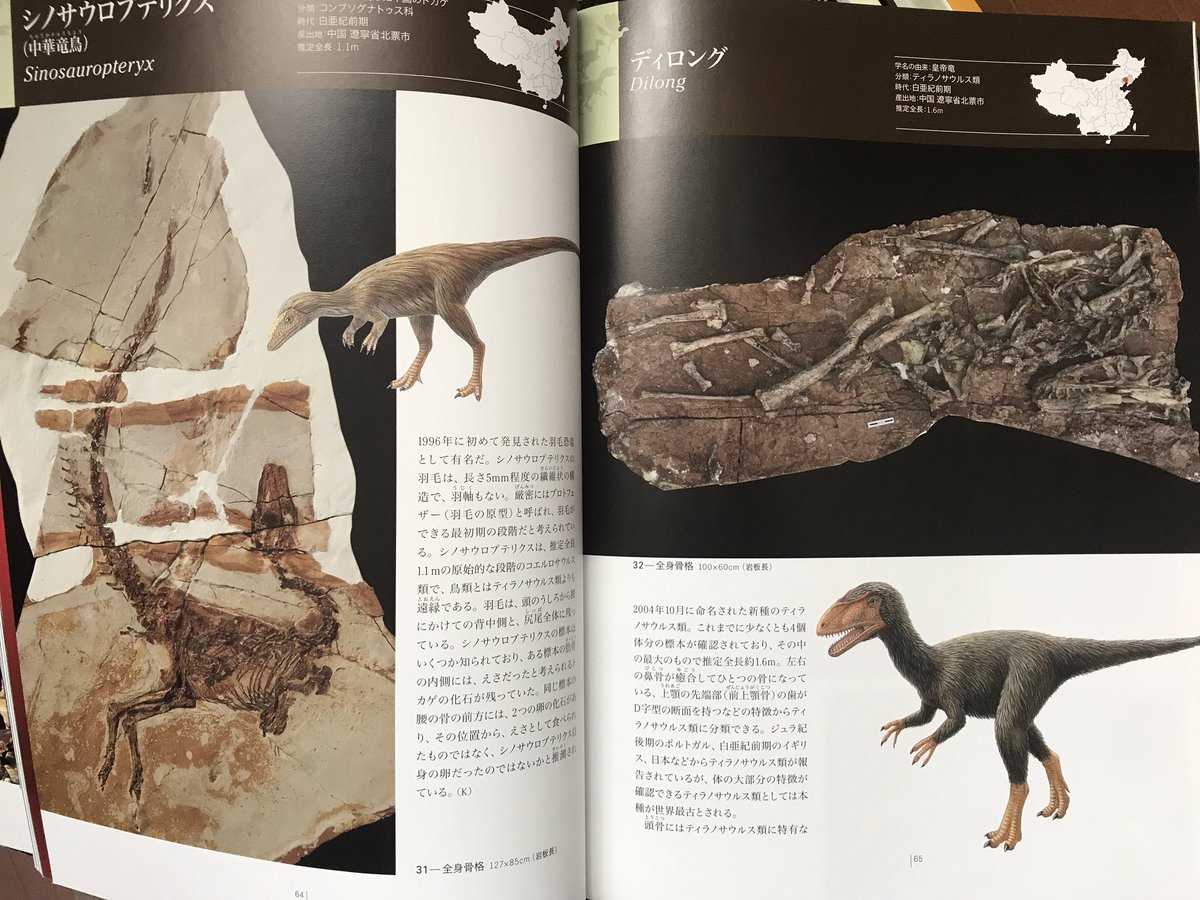ビオランテ推しの碧 21年は映画を色々と見る Na Tviteru 恐竜博05で羽毛恐竜知ったから今ティラノサウルスの最新羽毛情報には驚かないね しかしながらこの表紙のティラノ絵は好きだな