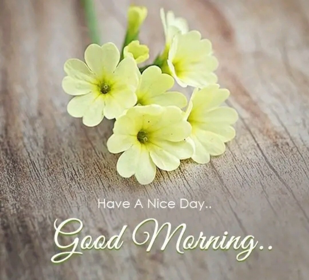Supriya_0705's tweet photo. #Just believe in the power that you h got....and the rest all will fall in their place❣❣❣❣❣❣❣❣❣
....................#GOOD MORNING 💛💛💛💛💛💛💛💛💛💛💛💛💛 https://t.co/wqg8eBEAua