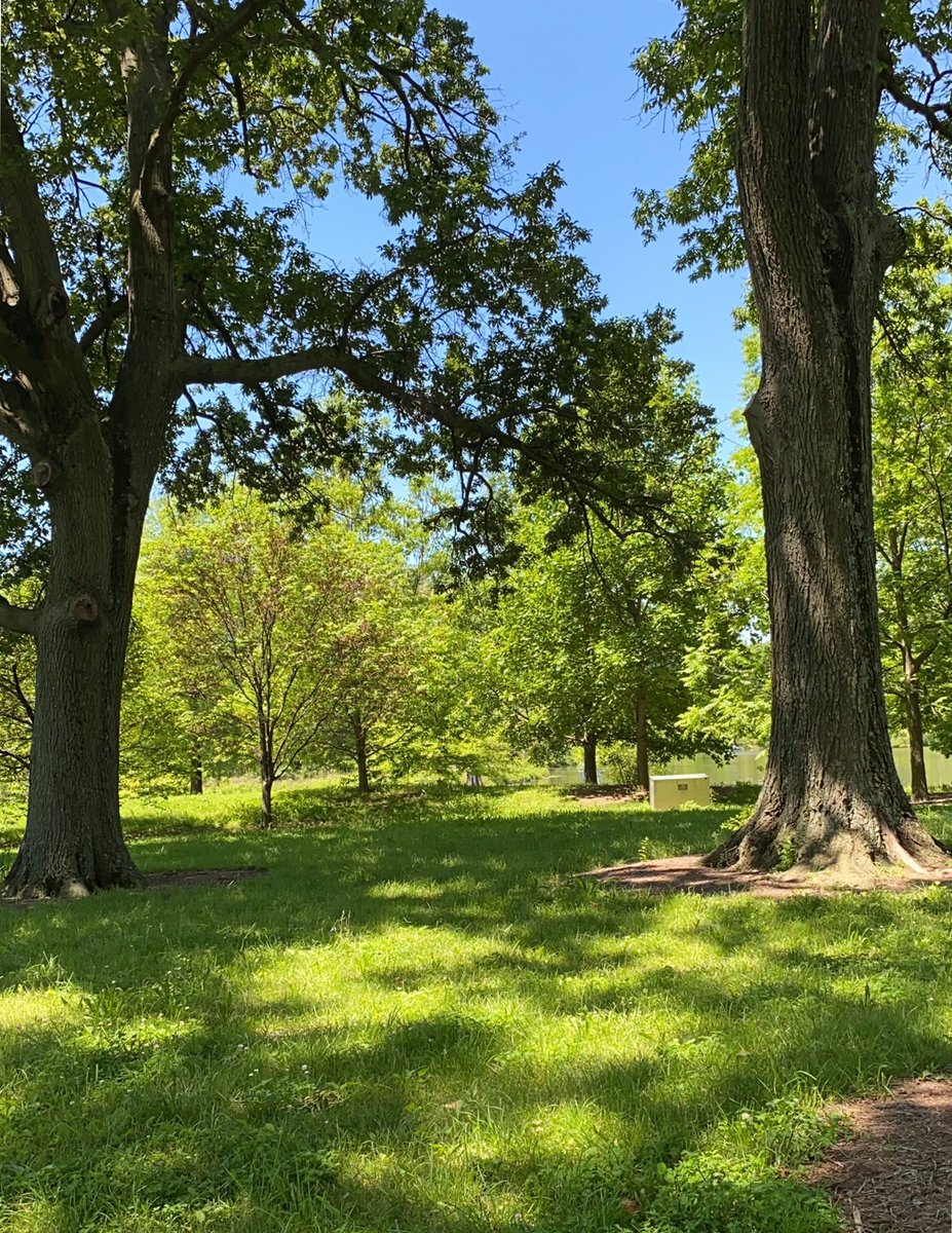 Loutopia tweet media